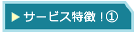 日中、日英翻訳のサービス特徴1