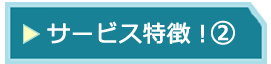 日中、日英翻訳のサービス特徴2