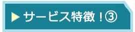 日中、日英翻訳のサービス特徴3